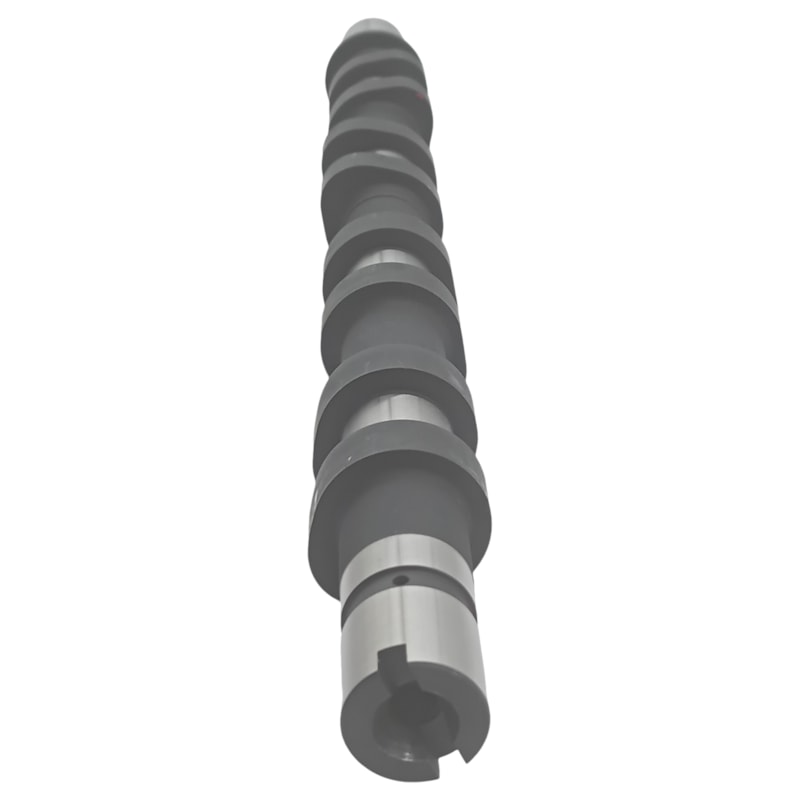 Thumbnail image - ba11aae3-ecd8-4bf7-ae1e-059b1c4dc20c