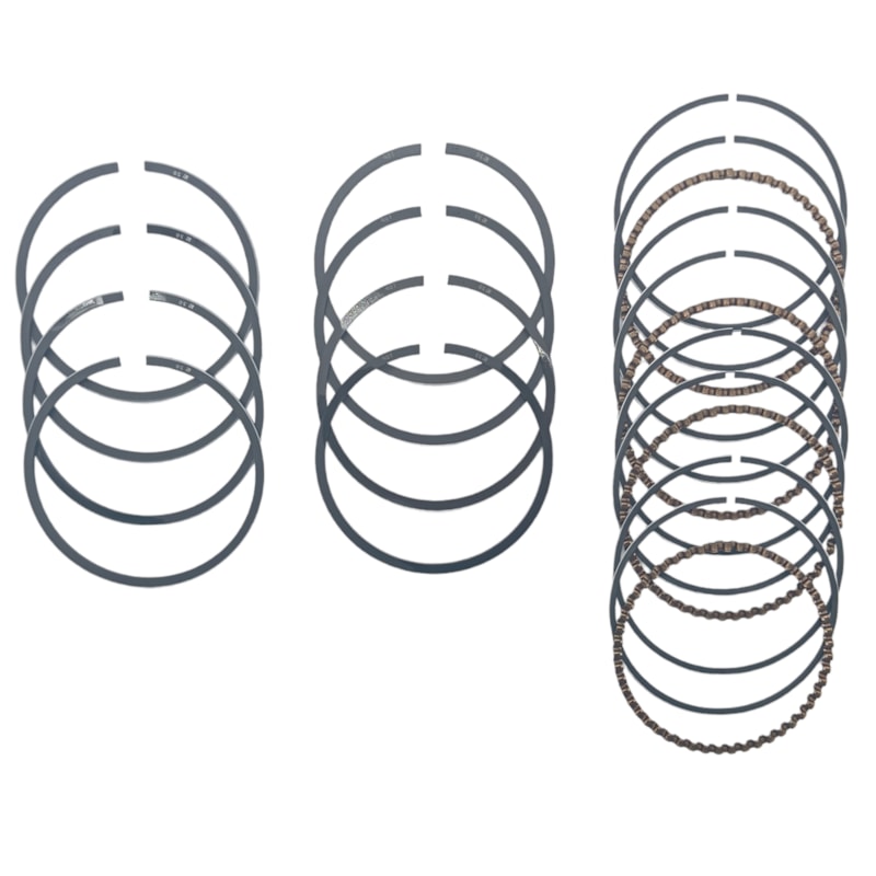 Thumbnail image - 2cfd0dc6-8bbe-4150-99b1-6cd5a991686f