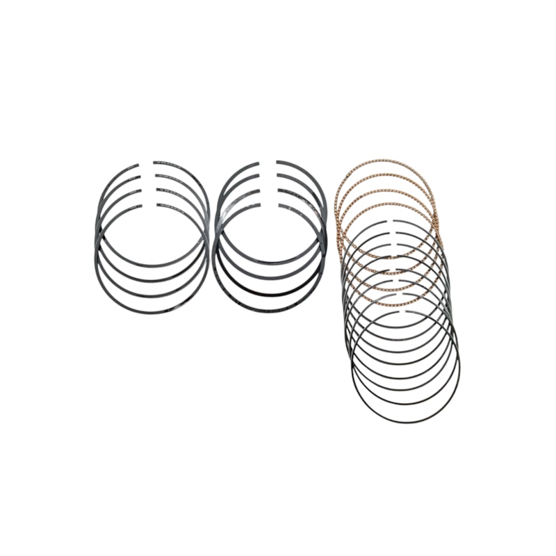 Thumbnail image - 00d19995-211f-4c24-9768-2e86af48f7a1