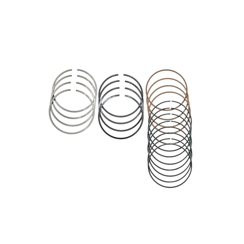 Thumbnail image - f9ae39c6-a53f-45fc-b946-8f2f77445266