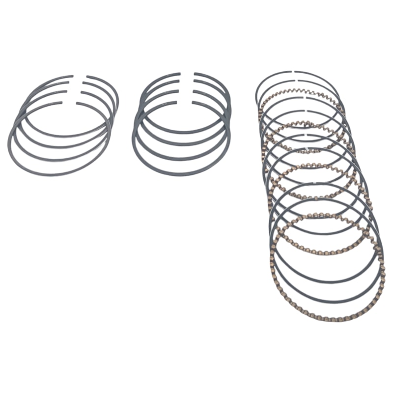 Thumbnail image - f176c802-3c0a-4146-9cff-8f996564fe5f