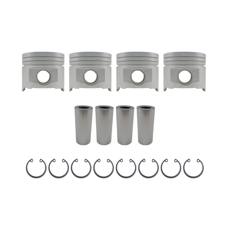 Thumbnail image - 8b2b75f3-d5d7-4cf3-858f-13ec85618f4d