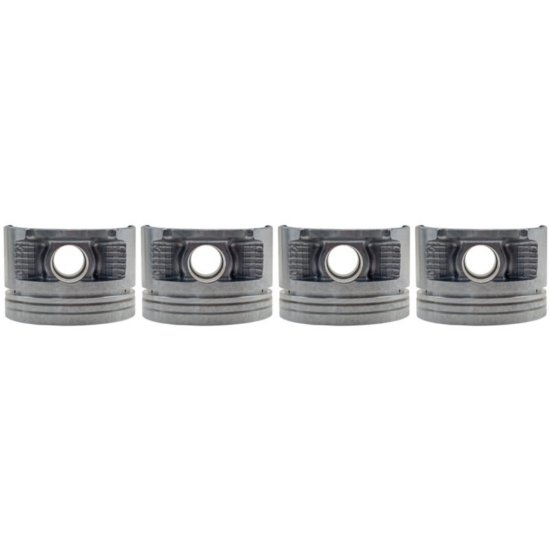 Thumbnail image - e77529c3-cf53-4d58-97c0-b457cf03a87d