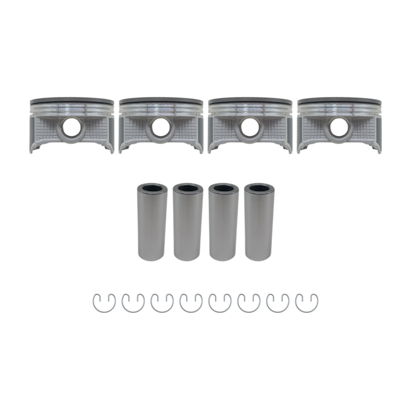 Thumbnail image - e1f070e1-efad-492e-9821-ab9df695739f