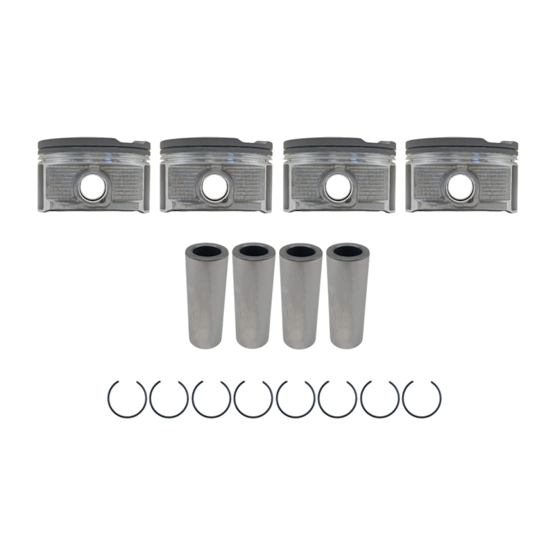 Thumbnail image - 1ecb73b0-ad61-43f8-b3de-ceb97fdbe12e