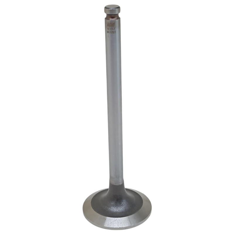 Thumbnail image - 50eb30b3-3d47-40a9-b47e-dce57bff6ba2