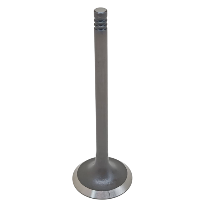 Thumbnail image - 654806d5-984c-4662-b1d3-274f8ab14ca3