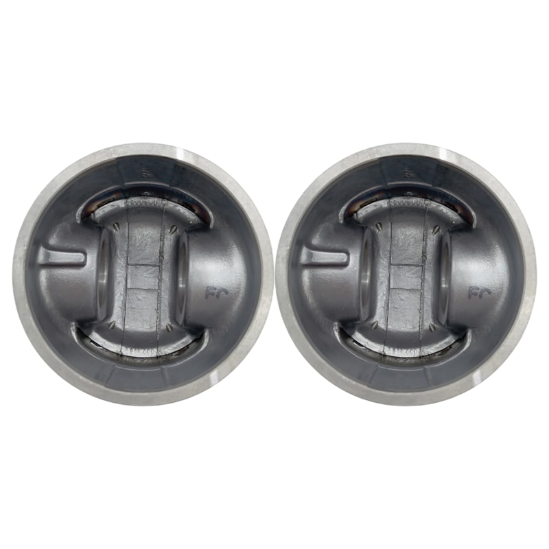 Thumbnail image - f7ce478c-e72b-40e8-8761-29ad95cfa9dd