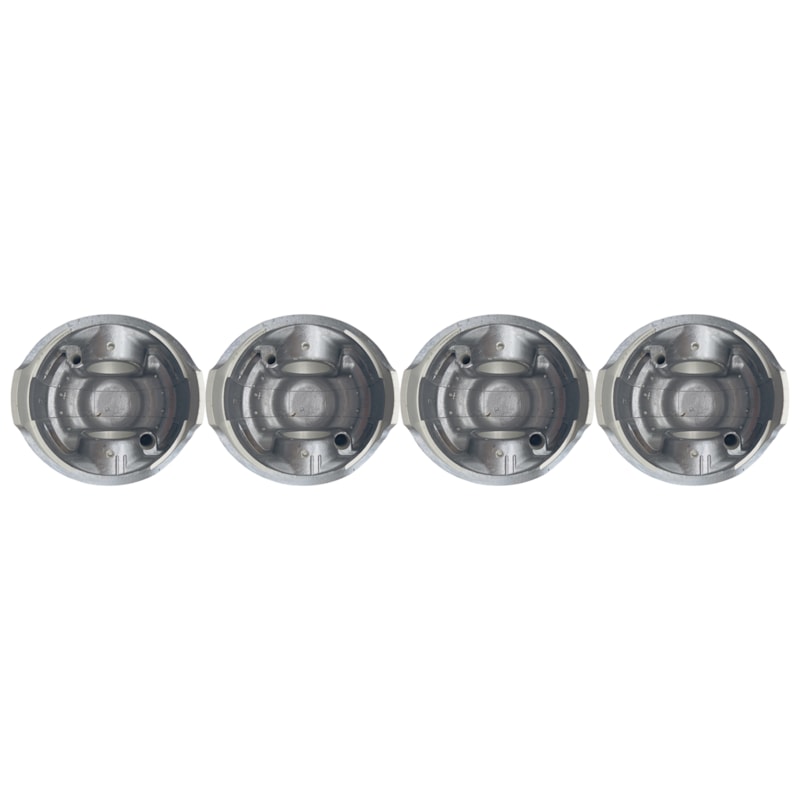 Thumbnail image - f9e799b3-bda6-4fd1-b14c-5acb2db69c5f