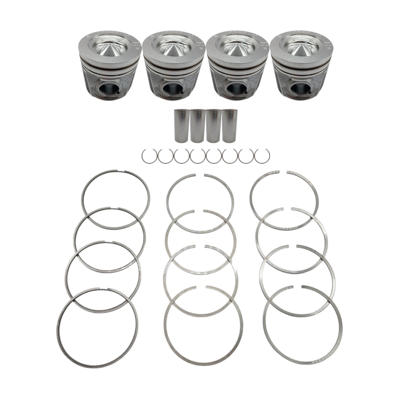 Thumbnail image - 14a968cb-d1fd-4688-ba9f-2adf8a1e84ff