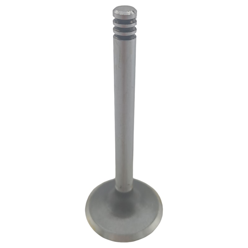 Thumbnail image - 5515c354-7eed-42af-868f-96b50ebec50c