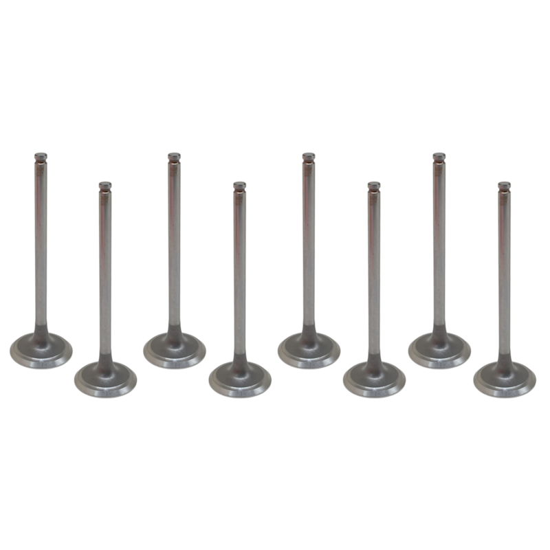 Thumbnail image - 58eafed6-3cae-46c7-912f-329571ea61f9