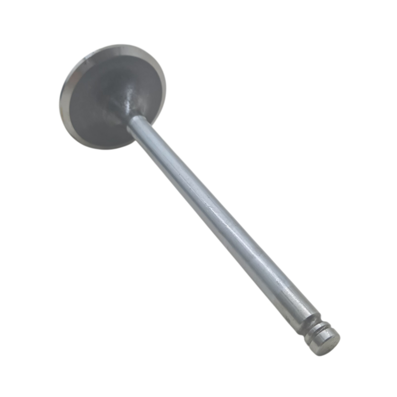 Thumbnail image - 3d1d2bff-57a4-4da4-b000-9e920824971d