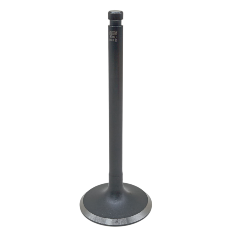 Thumbnail image - 18b4080a-8bf3-43ca-ab0a-c45b01242651