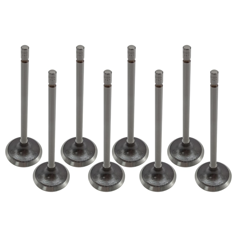 Thumbnail image - ae2c0443-282d-4bc1-ac91-9c2b9252bffc