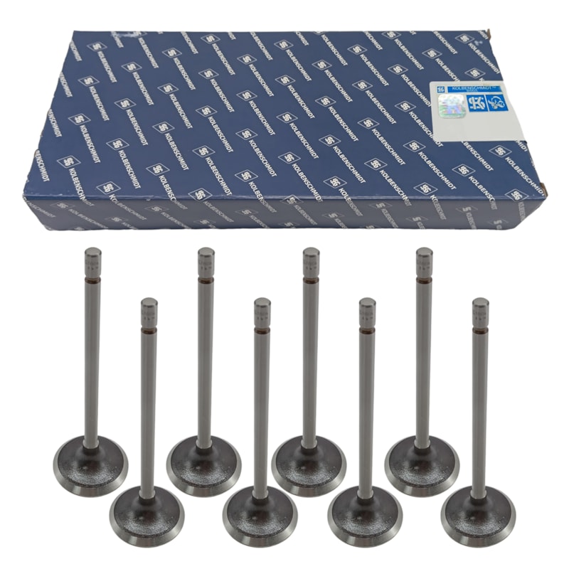 Thumbnail image - e7f59d50-0e12-46bd-82c7-48e80b44d470