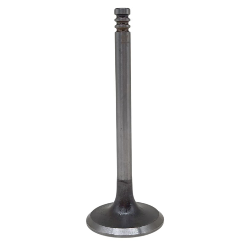 Thumbnail image - 8ae4bdcb-850a-4921-b487-10a290b7cb4a