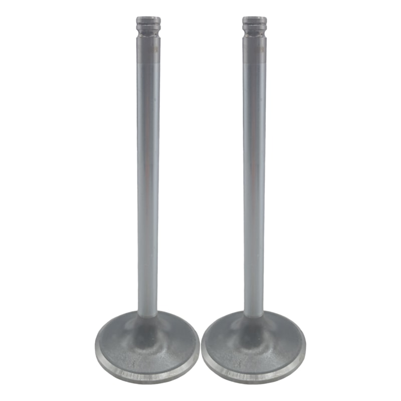 Thumbnail image - 01af0df1-94b1-40c0-b313-c8809ebe7f69