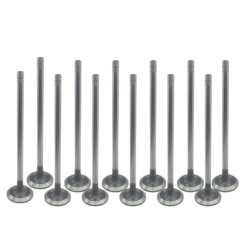 Thumbnail image - 8dd6f9df-152a-469b-8bf3-80c69a0e019e