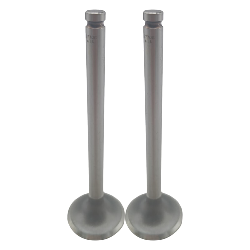 Thumbnail image - 8bdd0c11-e3ba-4a85-8bfa-d398b74c1646