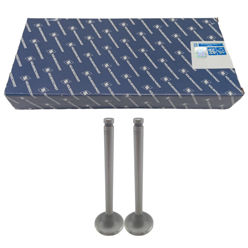 Thumbnail image - 584cfd4e-7ab0-44fe-9fb7-04741e4b11f1