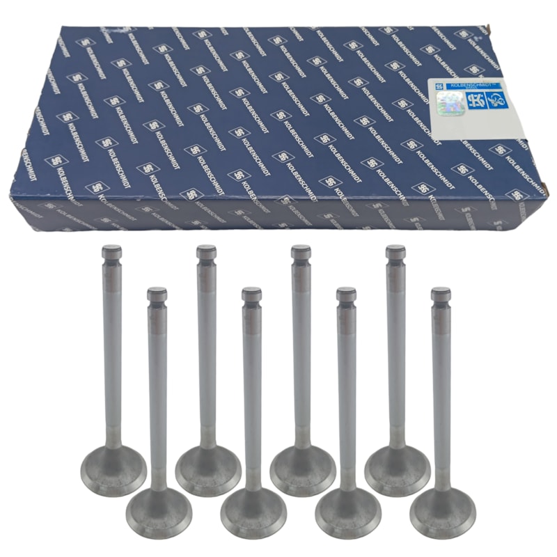 Thumbnail image - 867bed6f-6d2c-4dbc-9361-ed512f785972