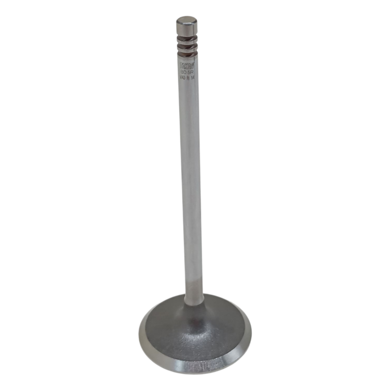 Thumbnail image - 7d26a77b-fdaf-4dc3-acc5-e65d852367aa