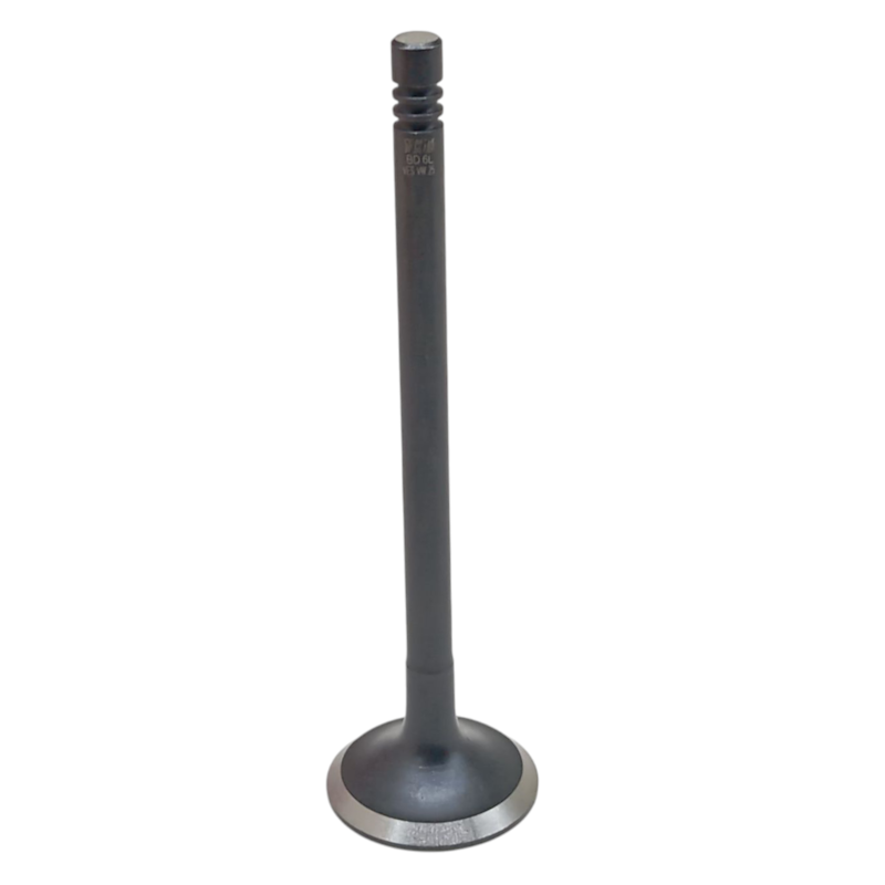 Thumbnail image - 143fc6a9-78e3-4c8f-bada-2413ab7df380