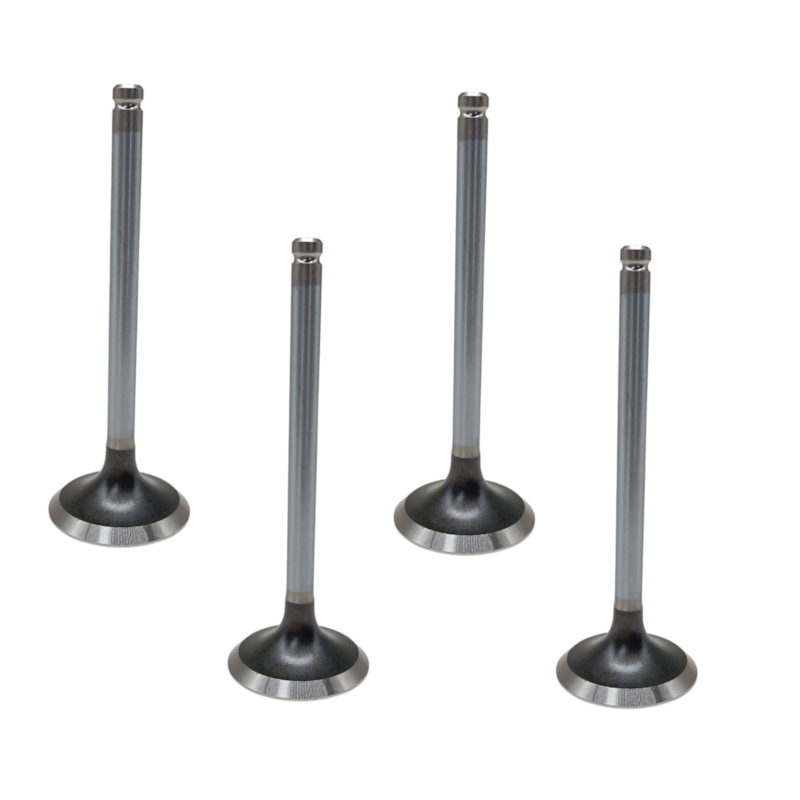 Thumbnail image - 22b1eeb0-3656-445c-b7c0-4566e8c562a7