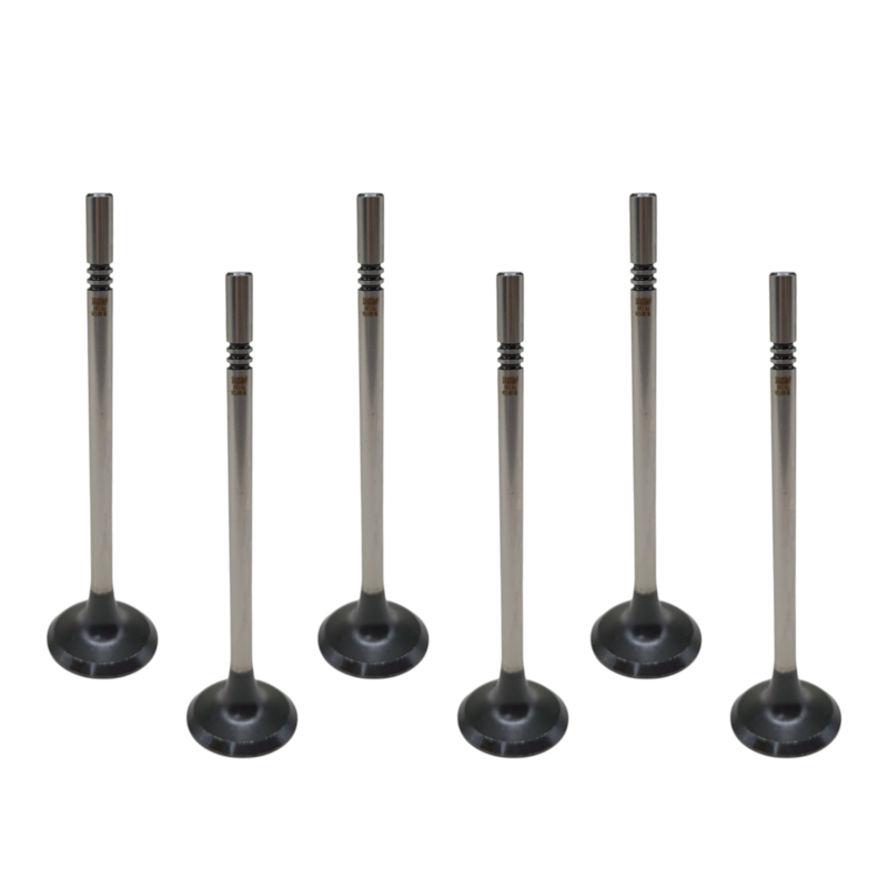 Thumbnail image - 0a39b7c1-f740-45f6-ac99-905f83a880cb