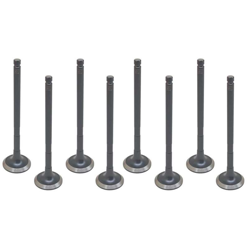 Thumbnail image - b9b5174d-d01f-46c3-9d32-9c8d76b37422