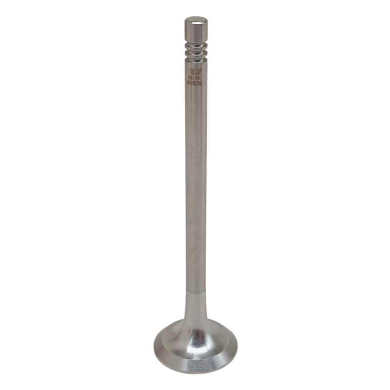 Thumbnail image - 2e0519a0-3653-4e1f-8284-49323c5dd7dd