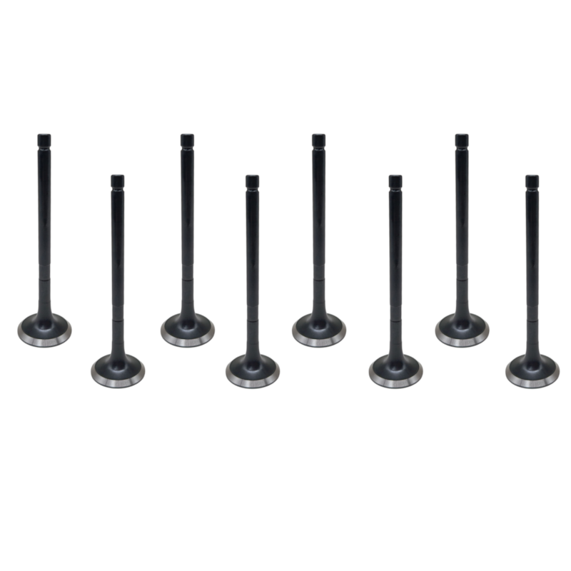 Thumbnail image - 726182ab-0614-44fb-8b31-5689e02b0464