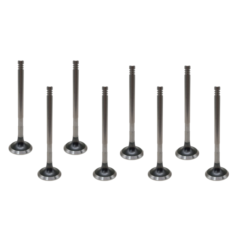 Thumbnail image - 0ac46d68-048b-4e0c-8a75-2b2b685884fc