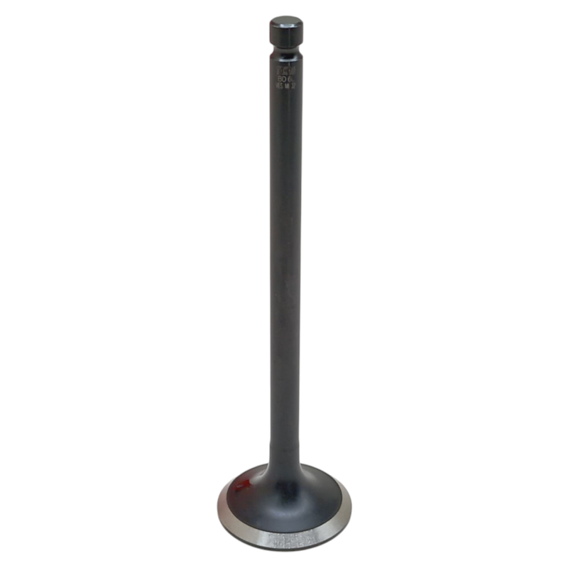 Thumbnail image - cb4ce9c3-0794-4bd9-b1c2-fa90f8939a3c