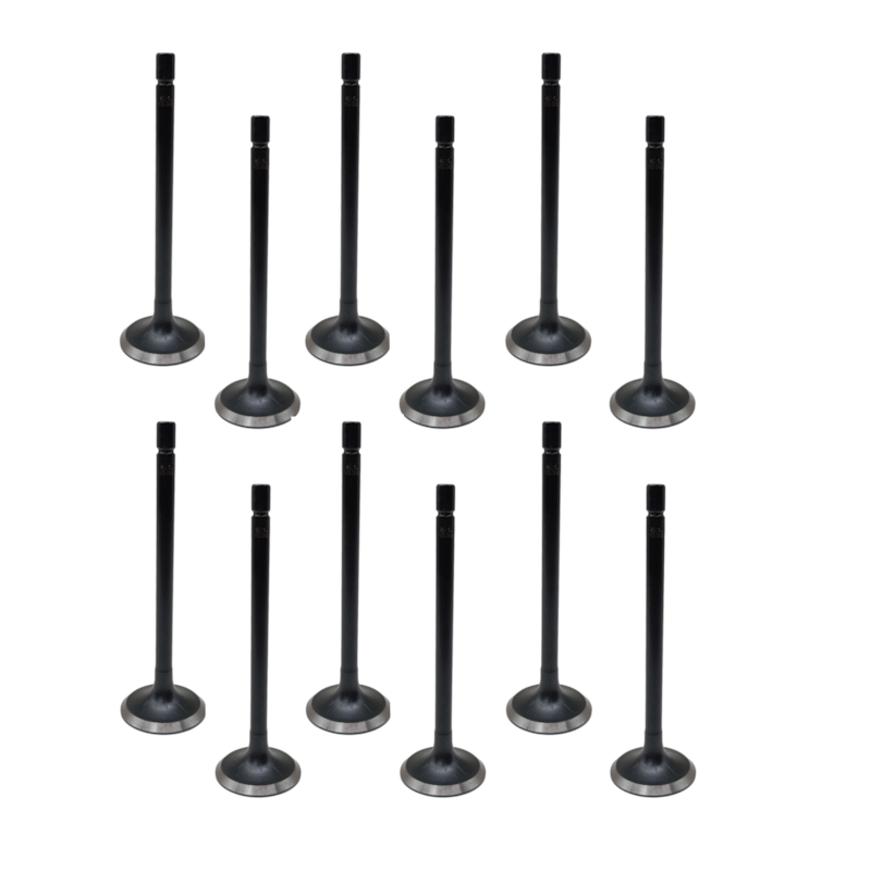 Thumbnail image - 25dbc254-b029-4d83-b138-340bce3447e5