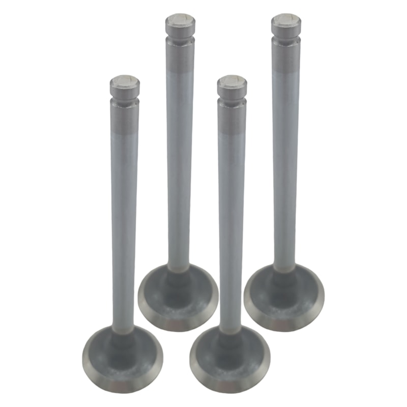 Thumbnail image - 517de60d-b066-4cc3-b757-dbb29ca37bbb