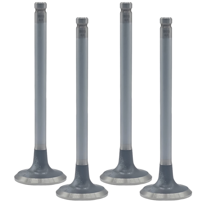 Thumbnail image - d813c08d-e388-417b-b726-33cf34e5e072