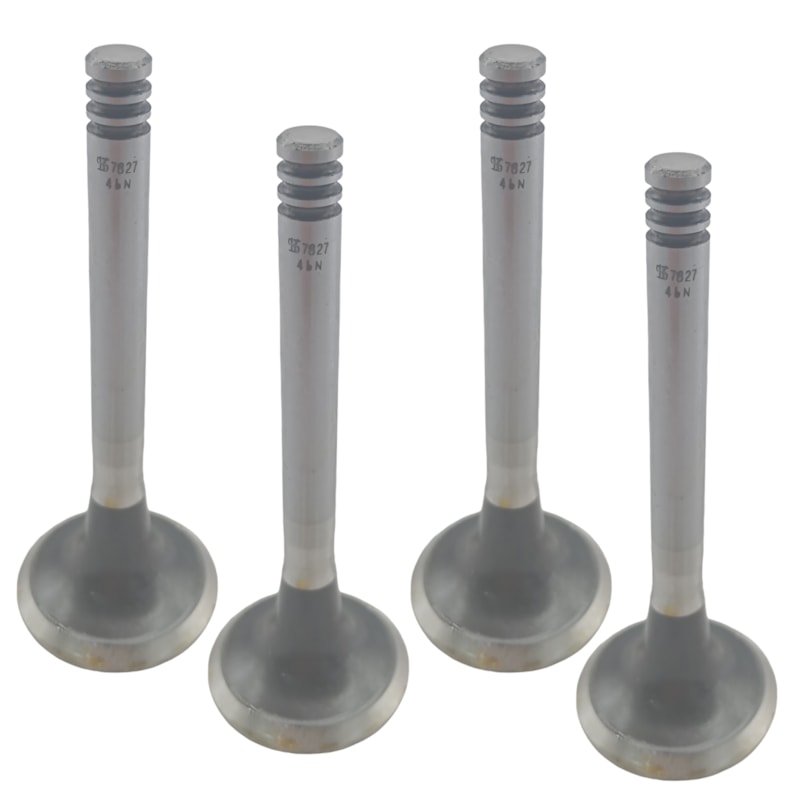 Thumbnail image - 78a0e0e1-f2fb-4f3f-9a34-e2bc4ed9d93e