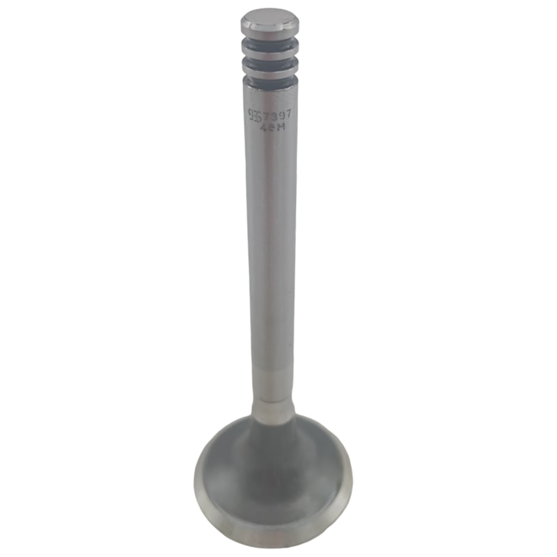 Thumbnail image - 0c3e8b29-a71d-4328-80b1-28c508cb26af