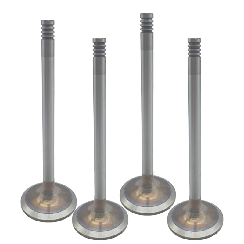 Thumbnail image - b10a492f-2996-405a-aefc-d5206bbe083a