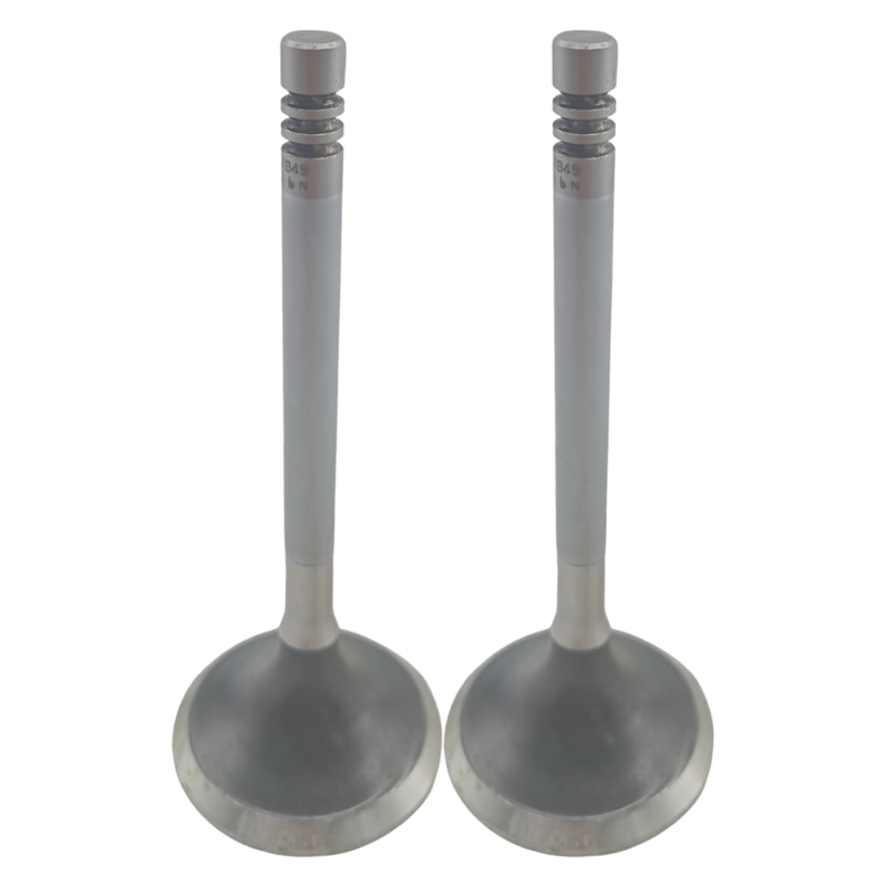 Thumbnail image - 0184b153-0d21-4382-a87f-645de0c255bd