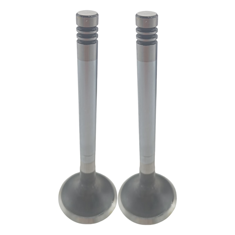 Thumbnail image - 564e0ab5-7e8f-4da5-b476-c4806f8664b1