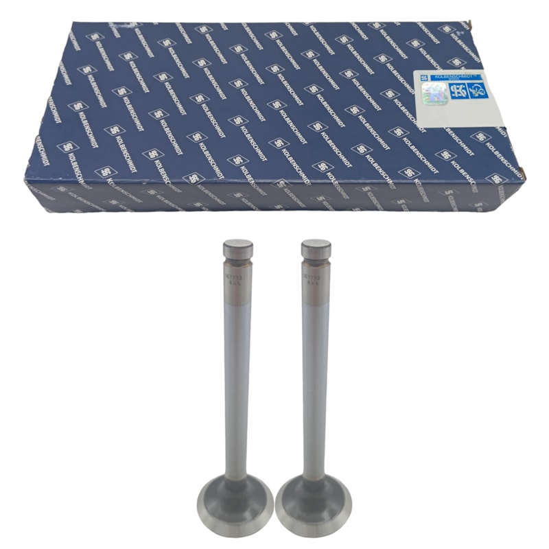 Thumbnail image - 5b2c493d-650f-4c5b-bac7-c4e2d7b67c92