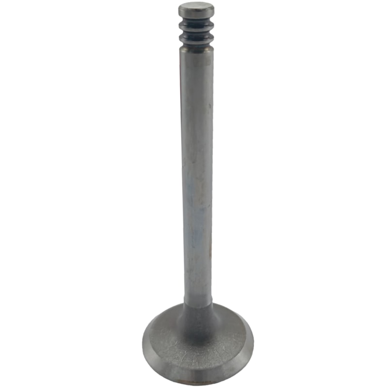 Thumbnail image - d16f9d50-b0dd-4ed5-8a5d-0d820fa1d928