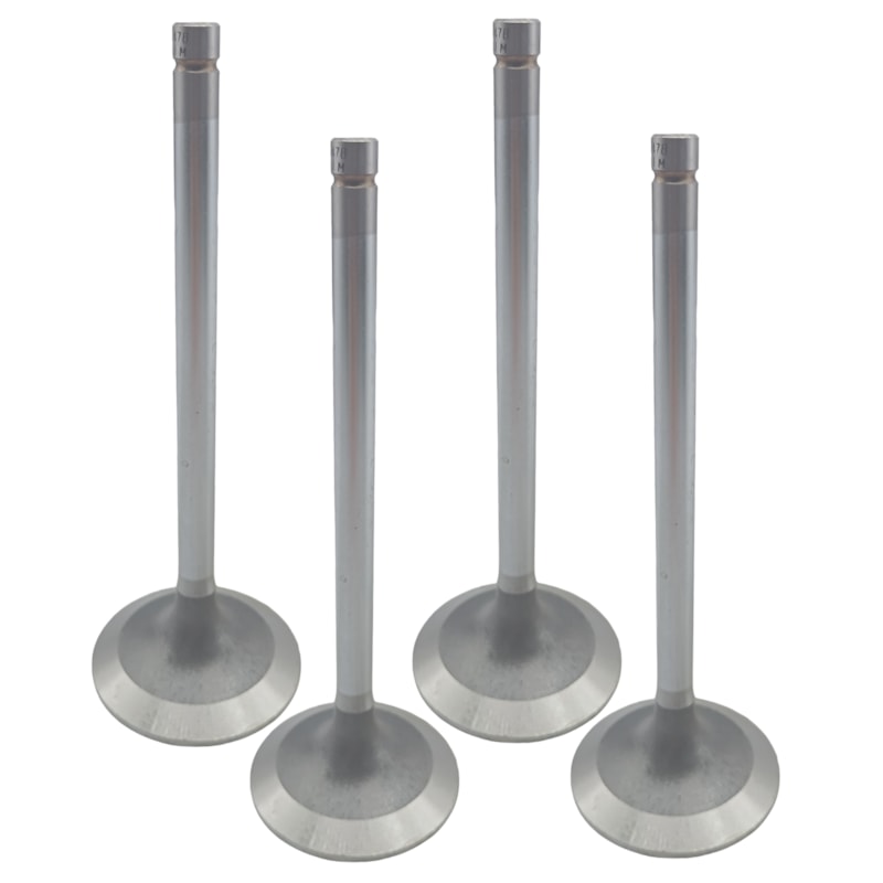 Thumbnail image - c3fd55a0-82ba-4fb0-8145-ab717185145e