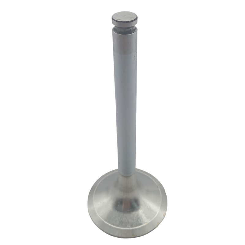 Thumbnail image - 14bf1544-68a5-4e13-8f91-128857f2934e