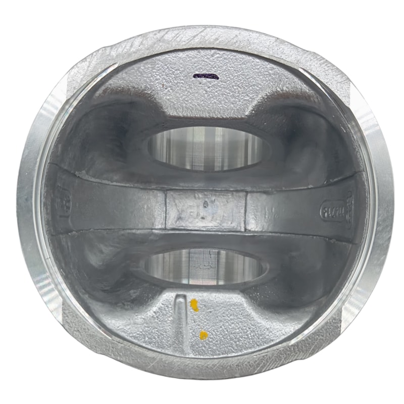 Thumbnail image - 141aeabe-33e4-4507-a7f0-1f4cdd7c801e