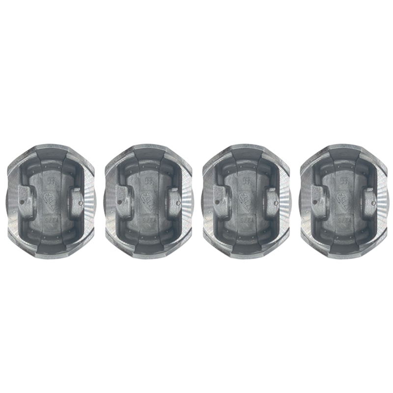 Thumbnail image - aa5a049a-48ef-40f0-a5ff-40c2a7f7da57