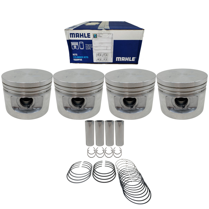 Thumbnail image - be2d0f95-0064-490e-9224-7f98d7959c87